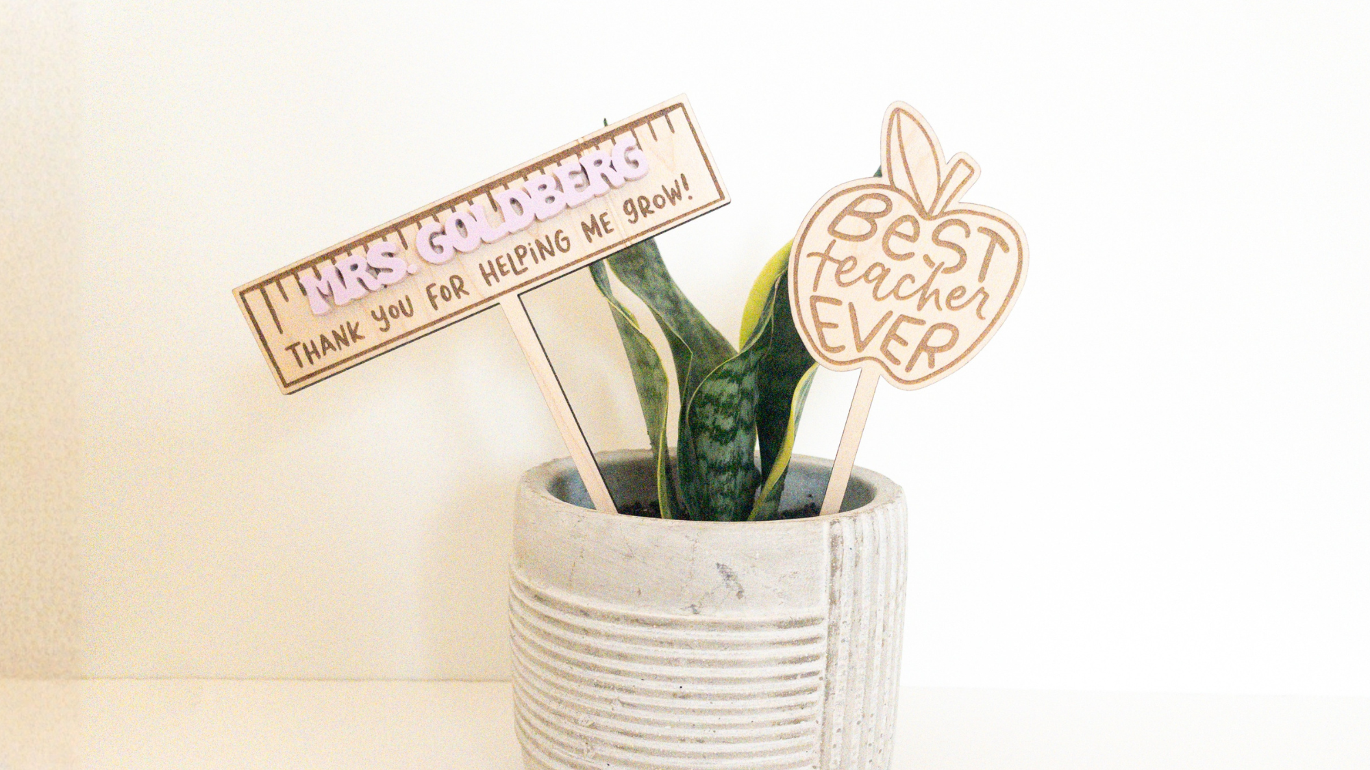 Teacher Plant Stakes