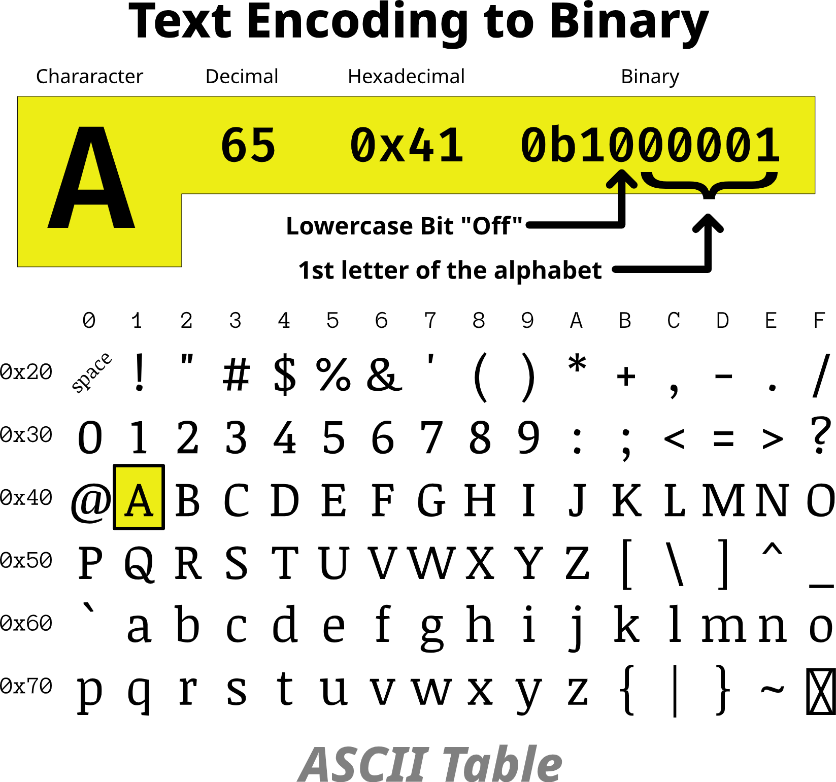 ASCII Visualizer
