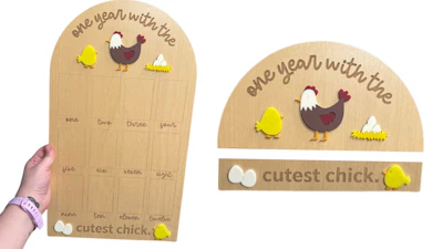 One Year Photo Board - Cutest Chick