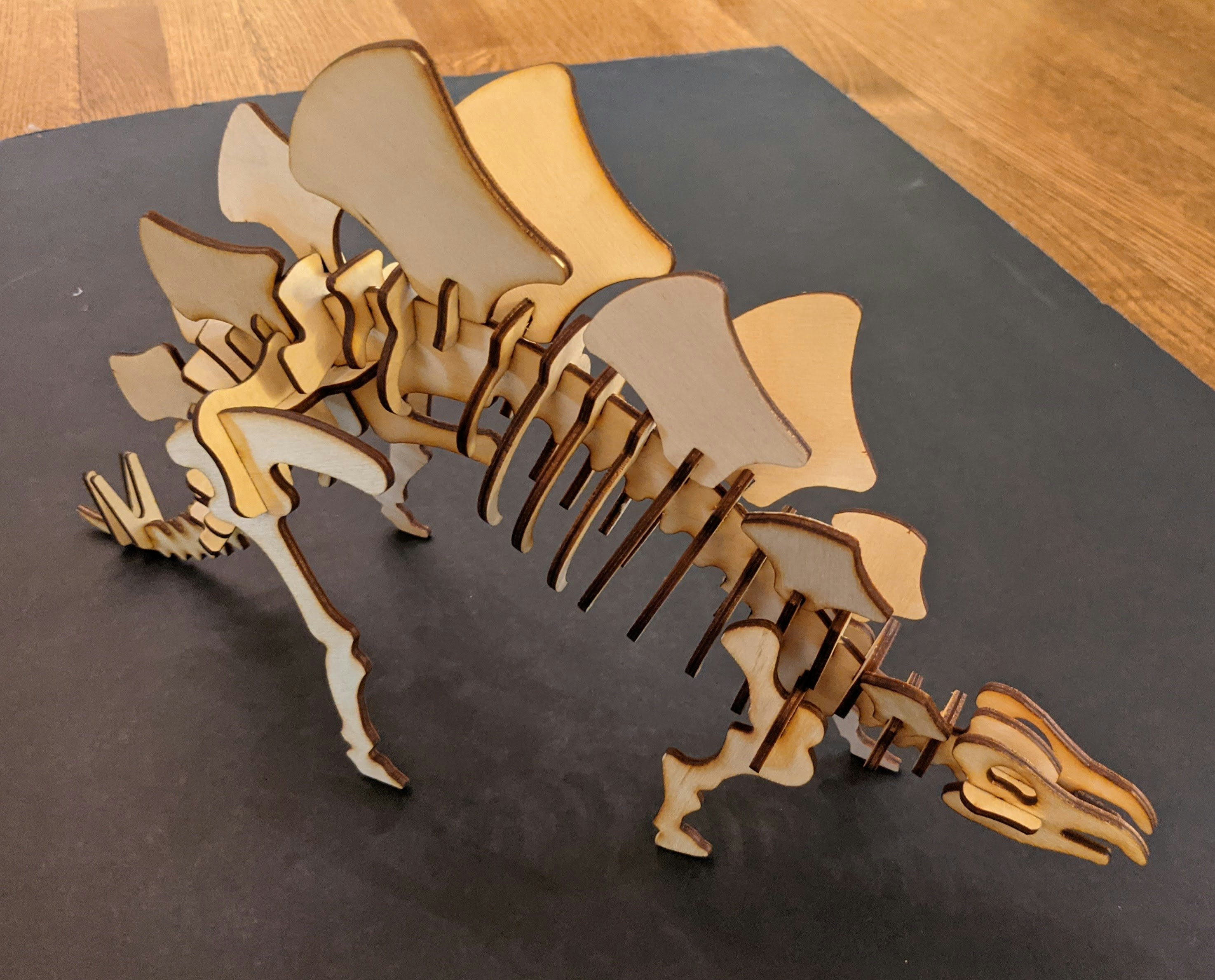 Stegosaurus