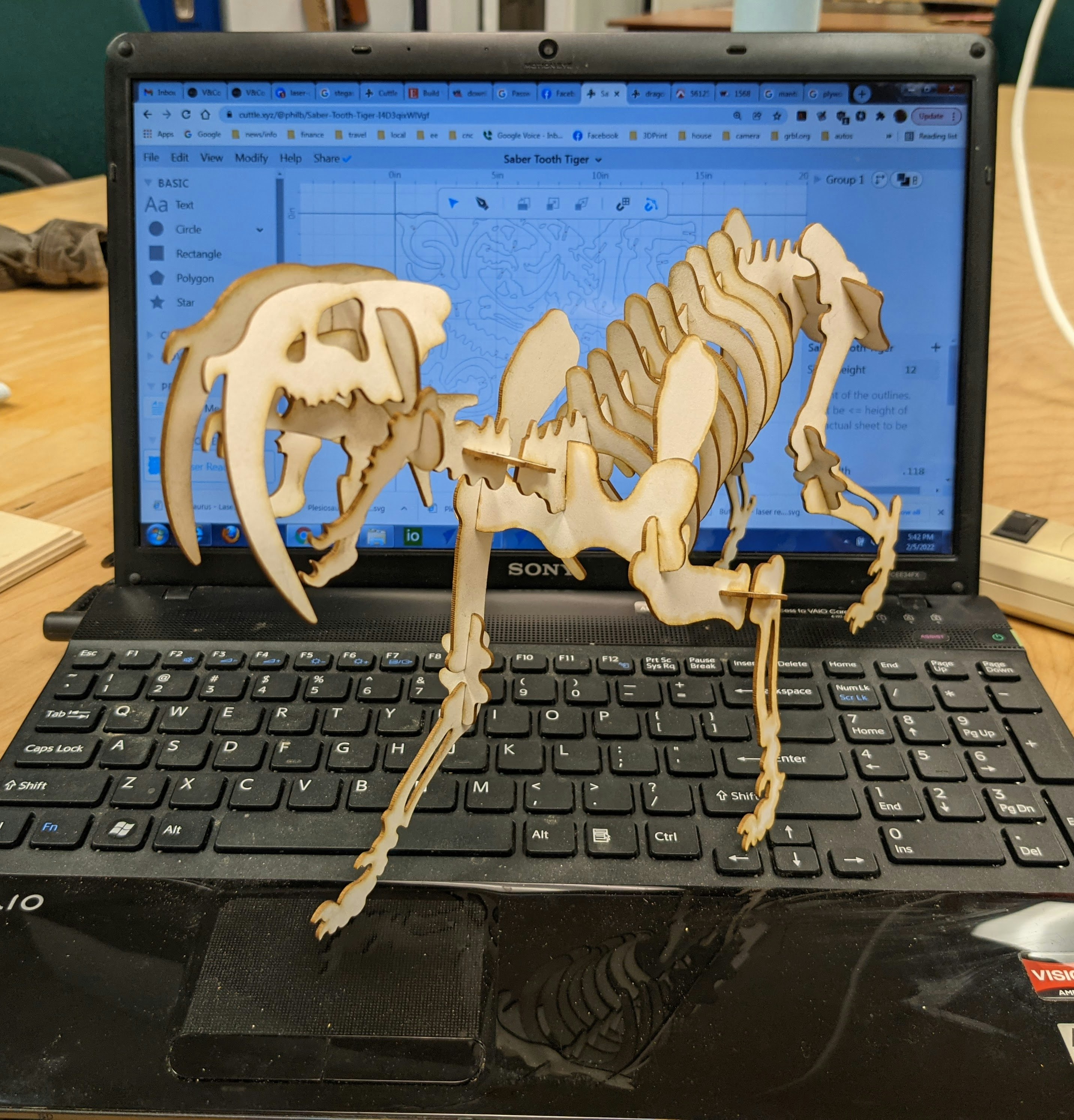 Saber Tooth Tiger