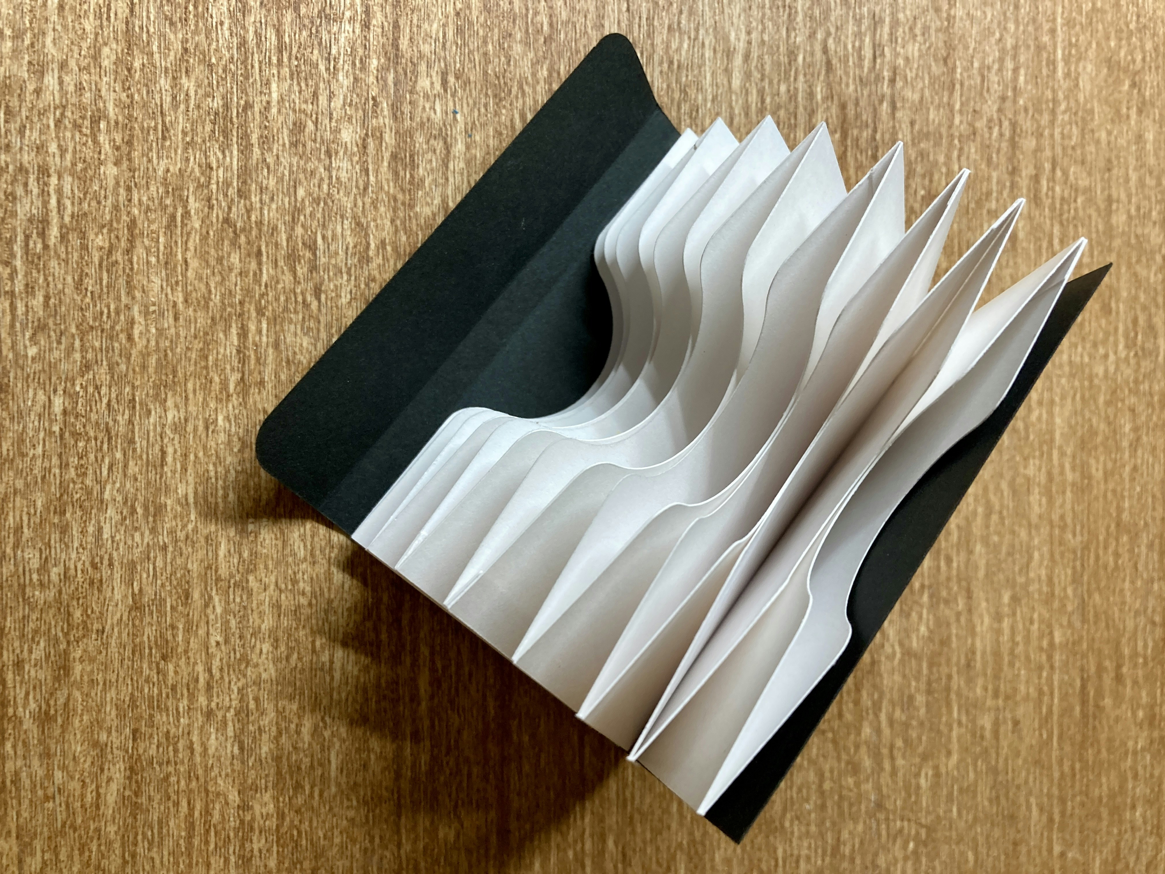 Accordion File