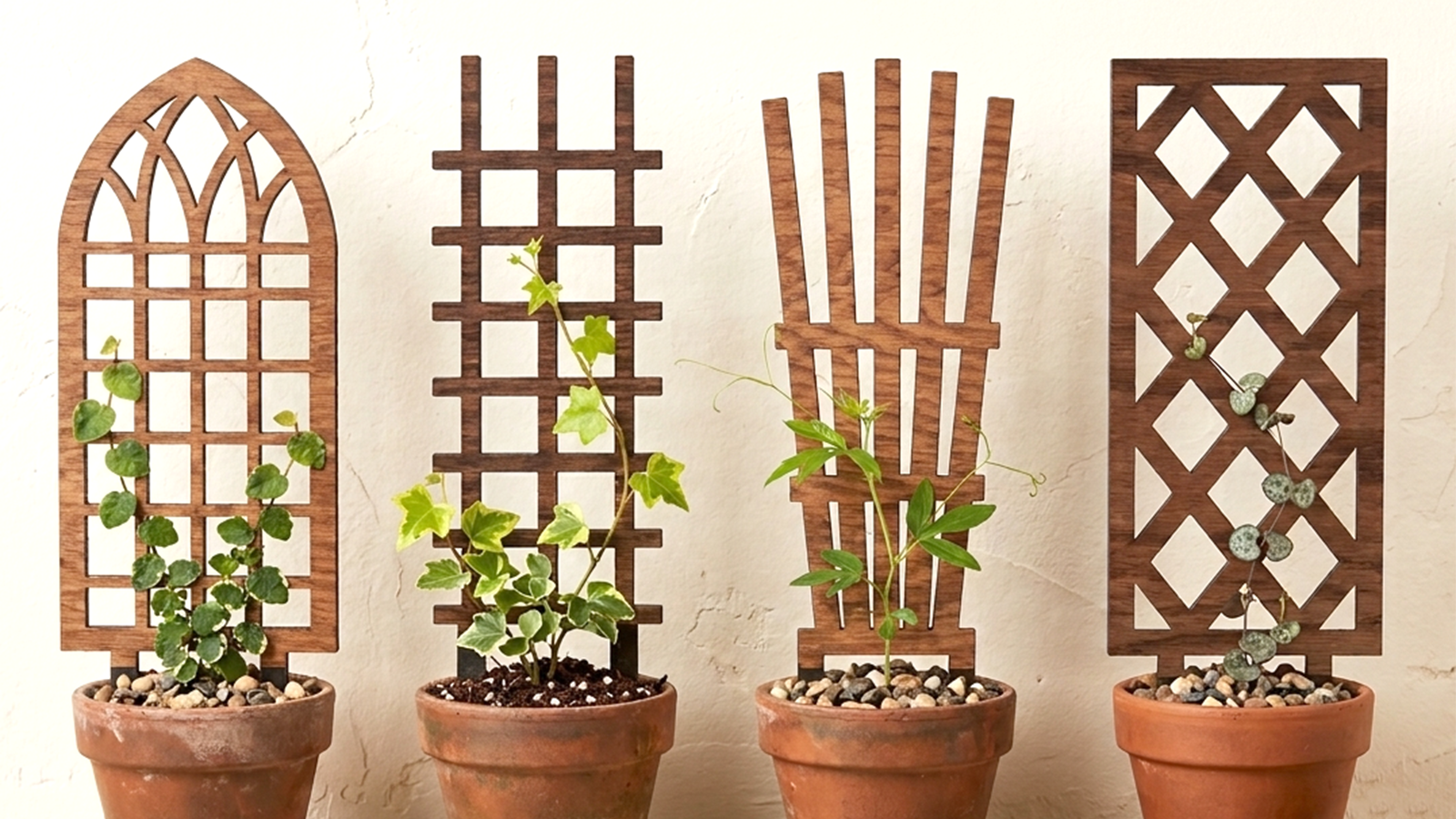 Mini Plant Trellis