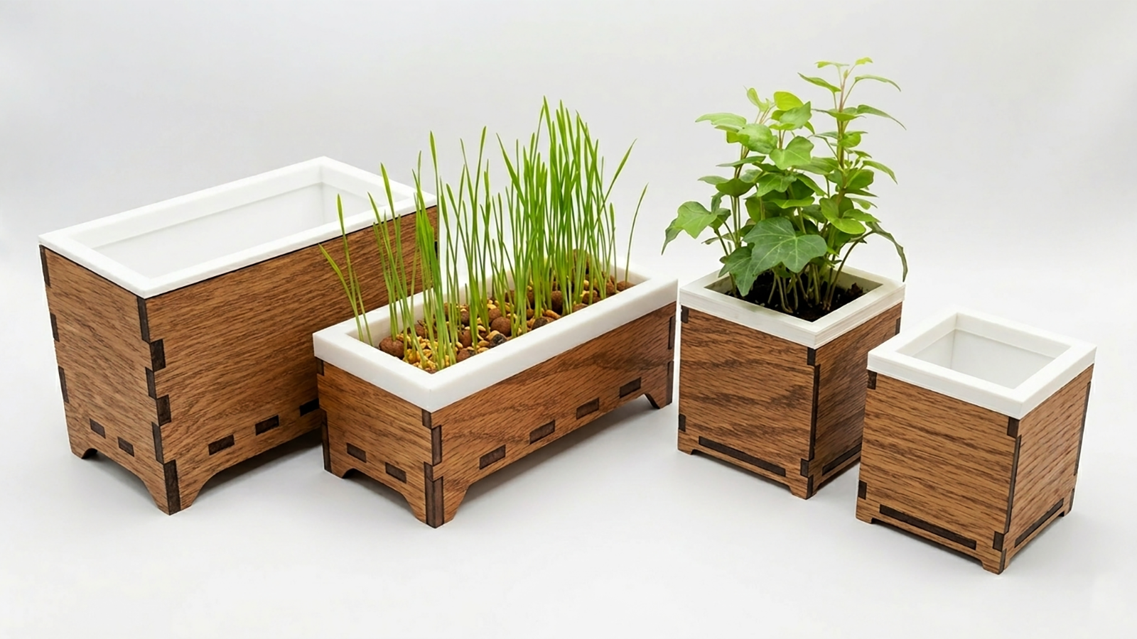 Desktop Planter
