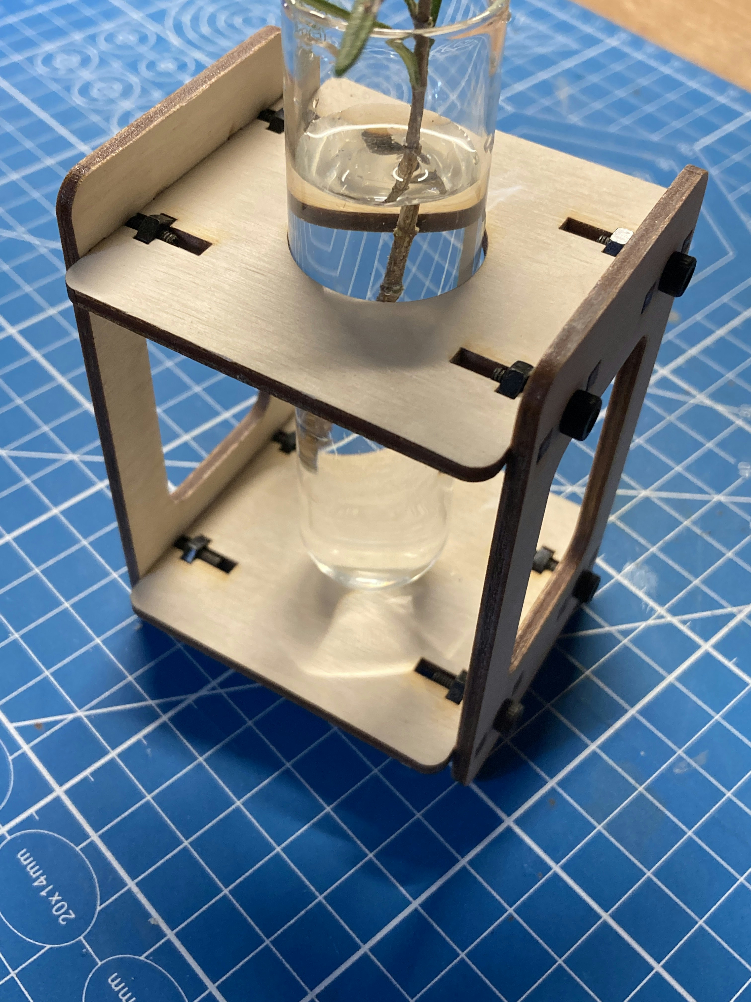 Captive Nut Experiment