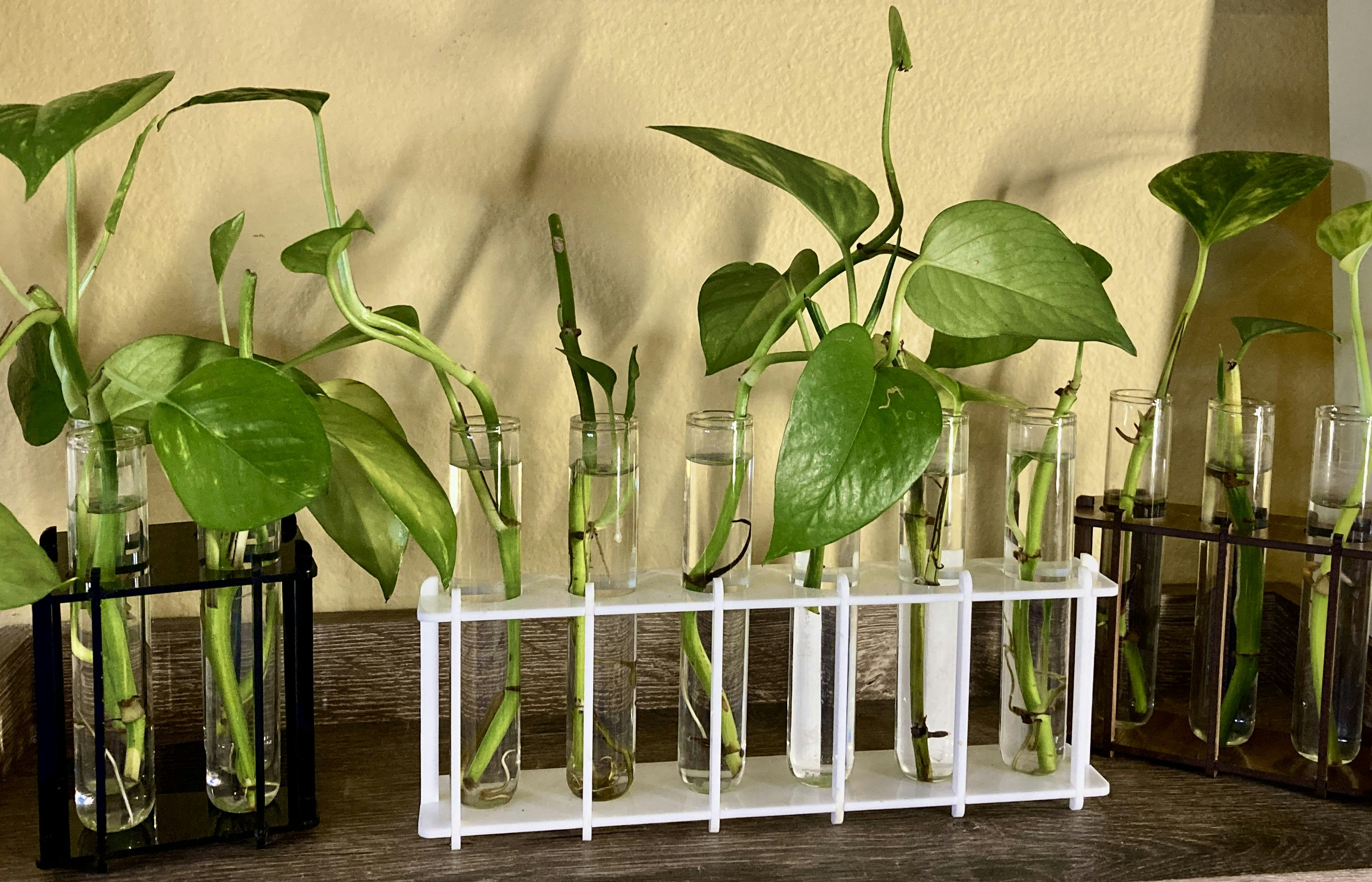 Tube Racks
