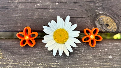 Flower Lamp & decorations