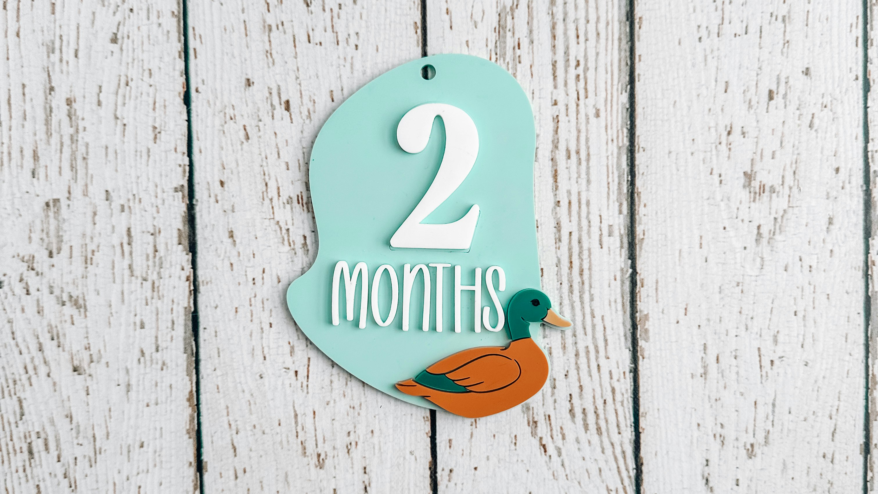 Duck in Pond Milestone