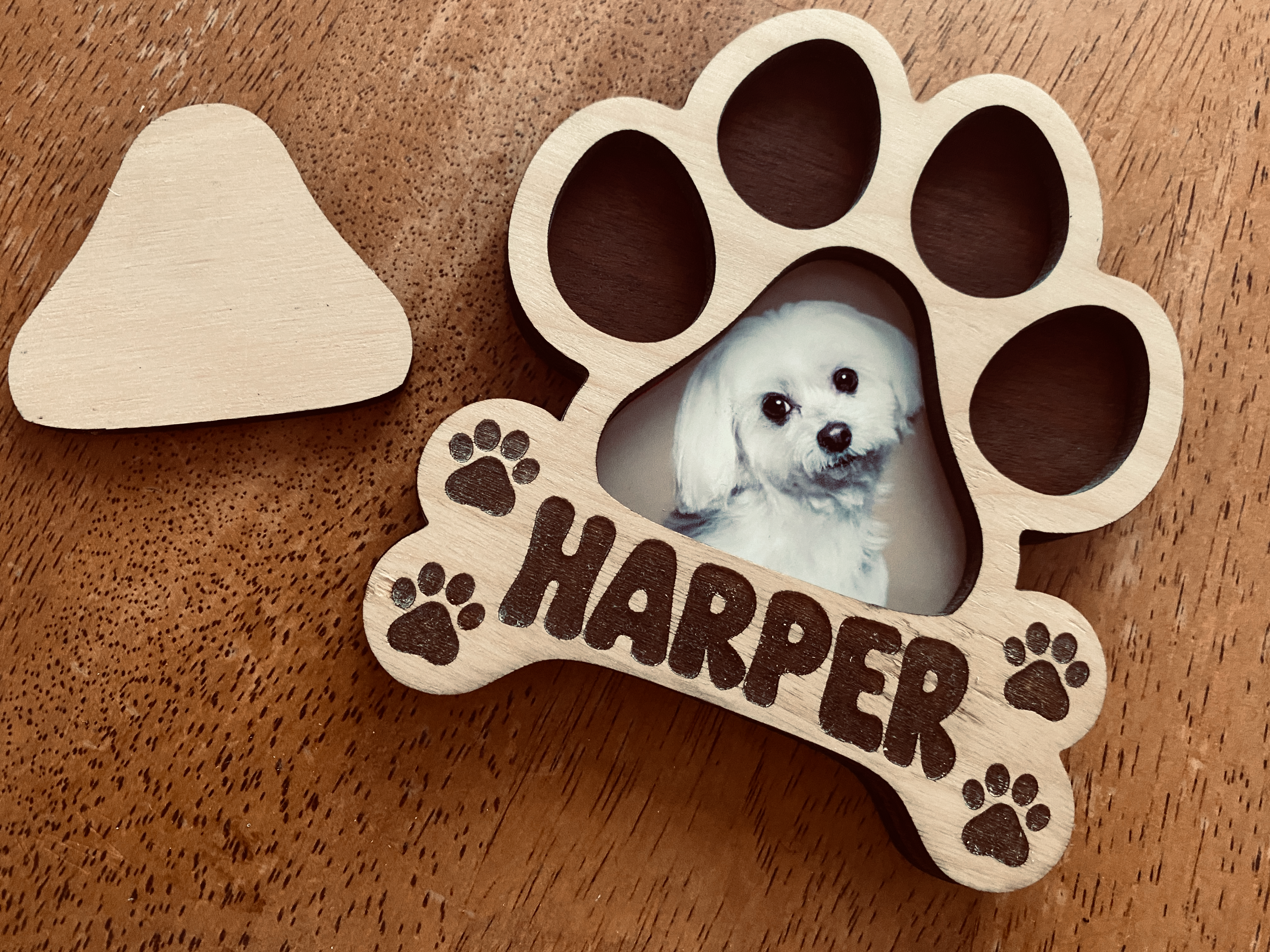 Dog Paw Photo Frame Magnet