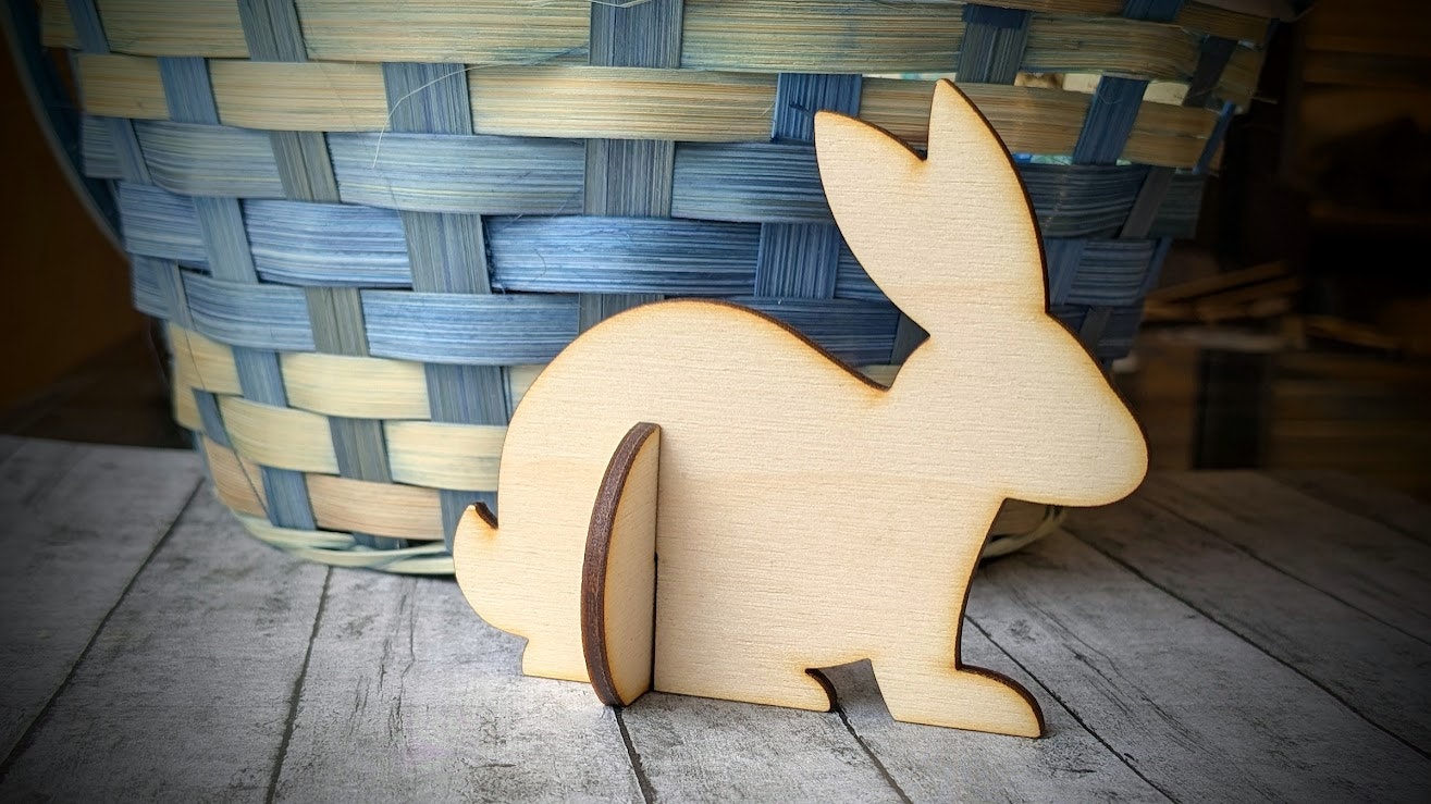 Bunny Rabbit 3D