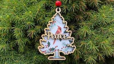 Tree Ornament with Colorful Backer