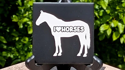 Horse Knockout