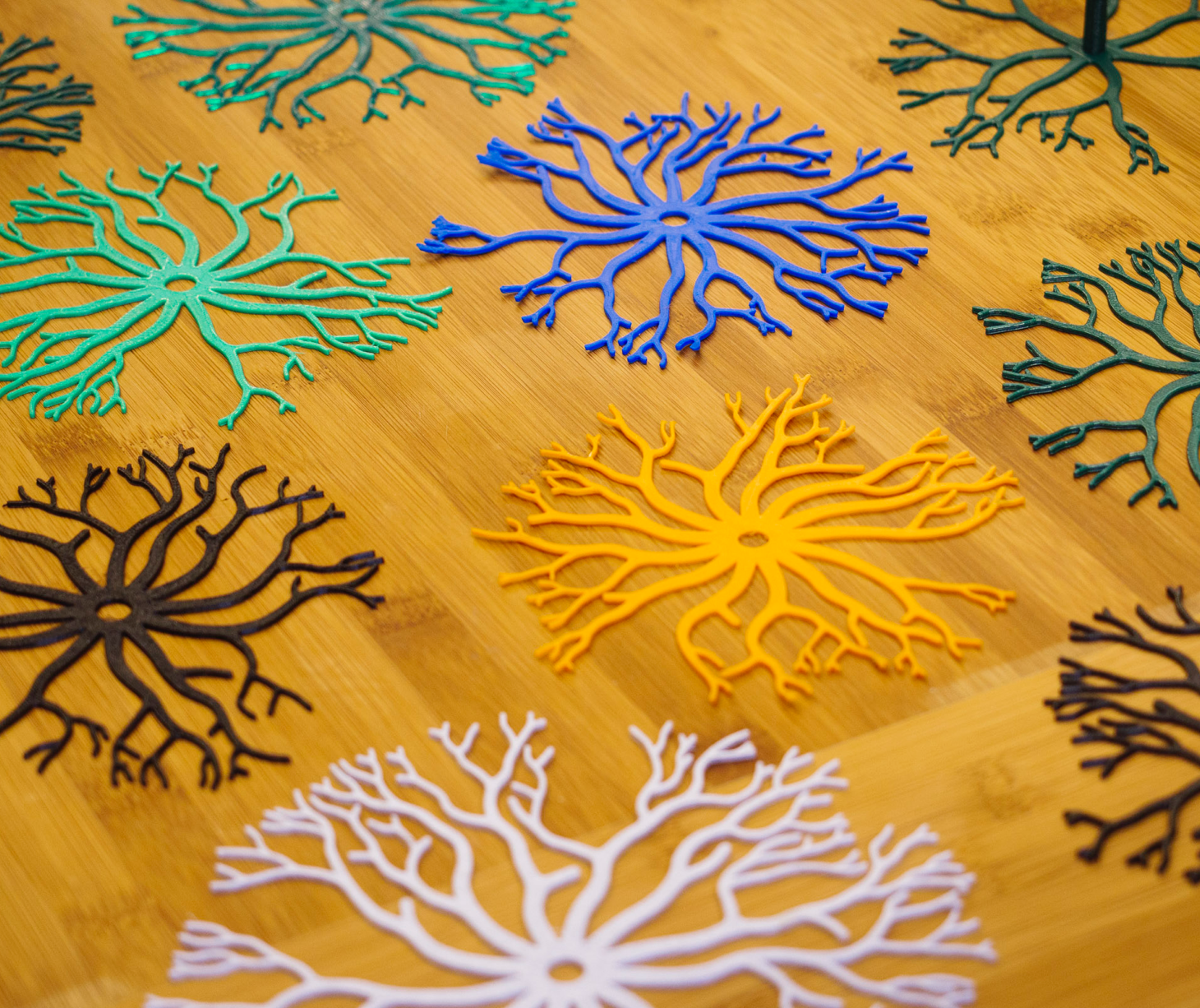 Branched Coaster