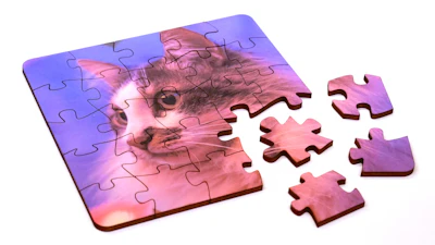 Jigsaw Puzzle