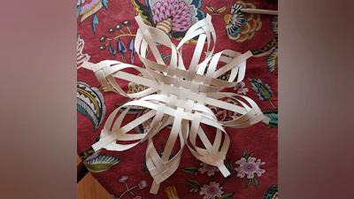 Carolina Snowflake or Finnish Star