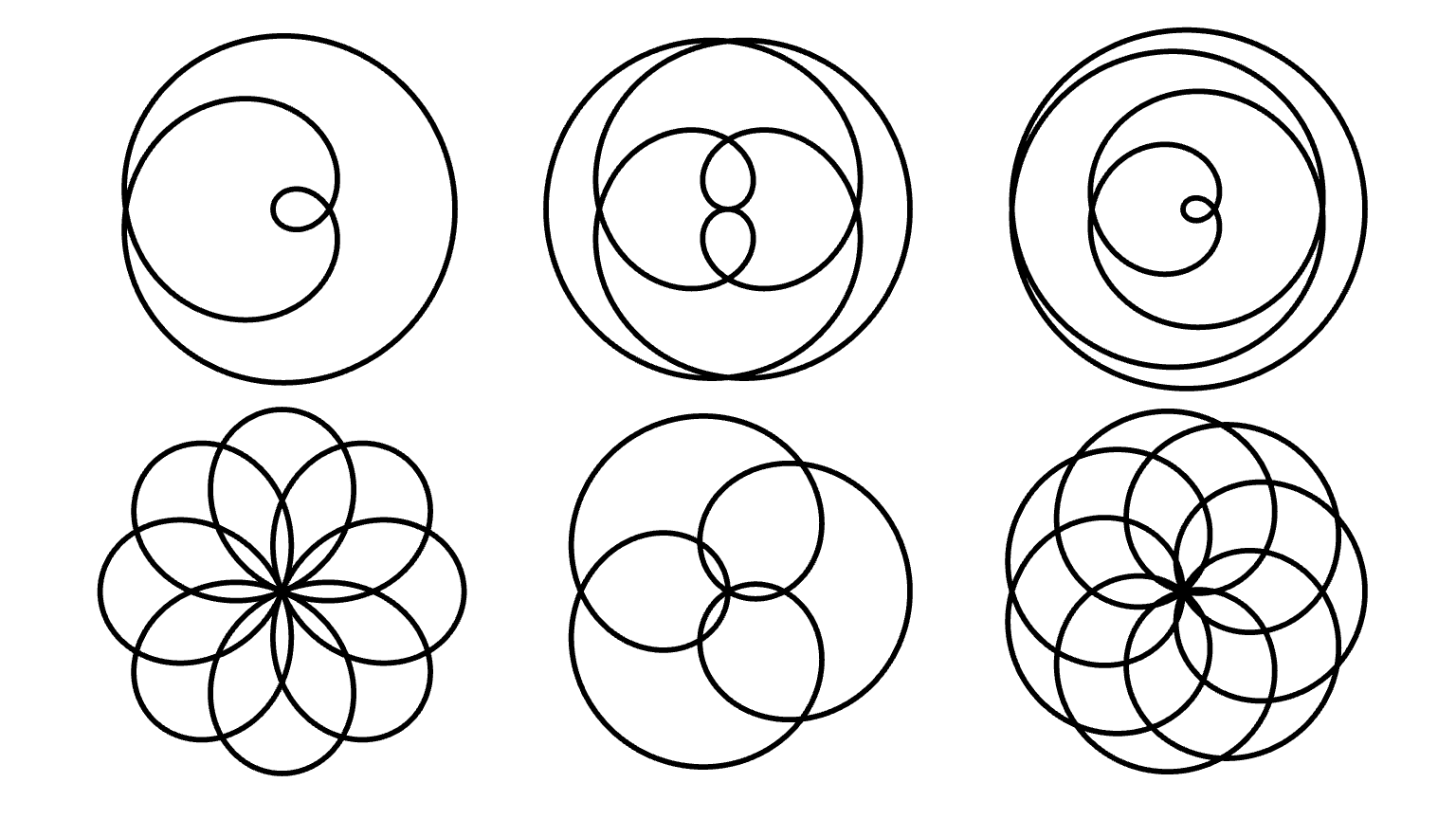 Rose Curves
