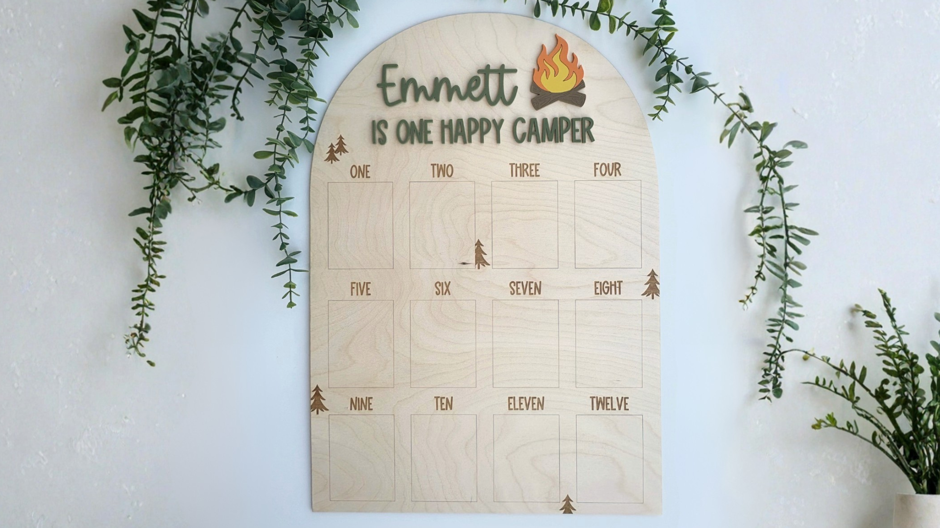 Camping First Year Photo Board