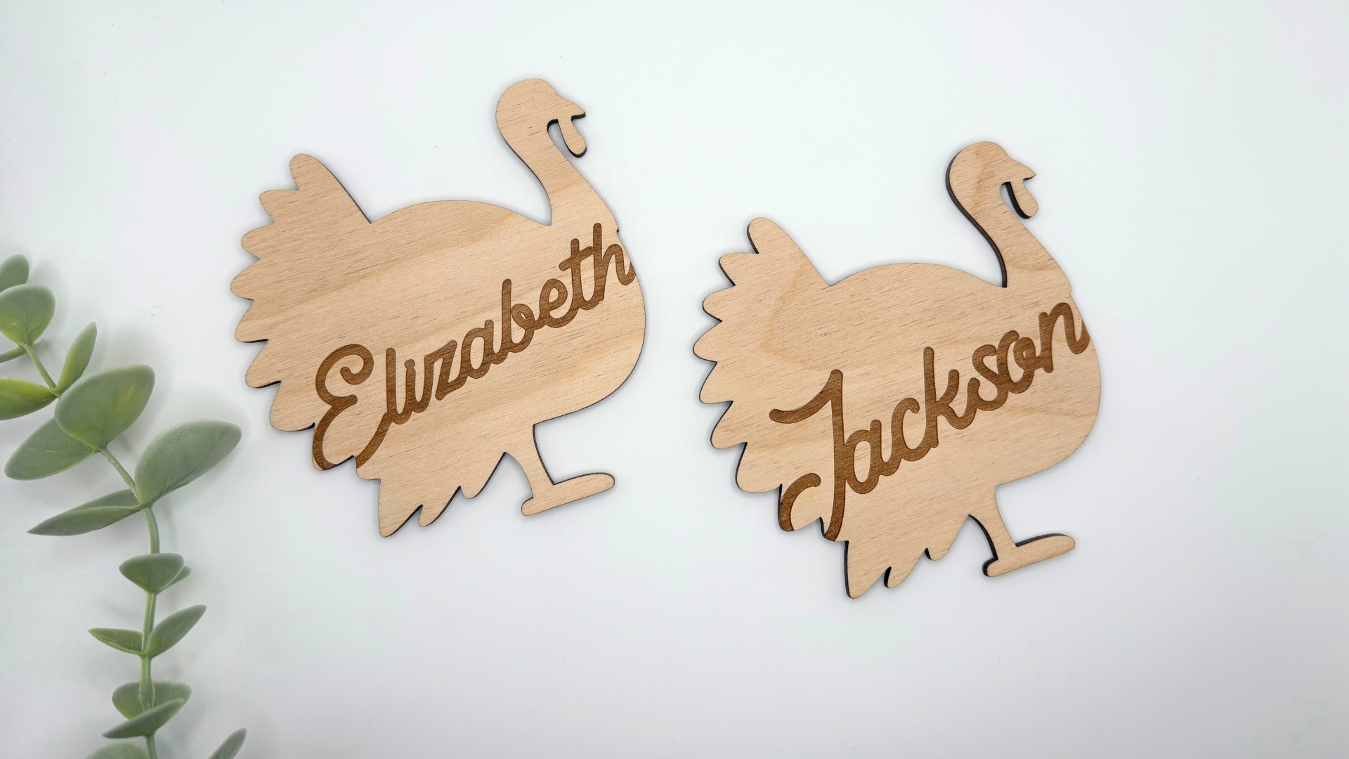 Thanksgiving Turkey Place Cards