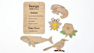 DIY Georgia State Coloring Kit