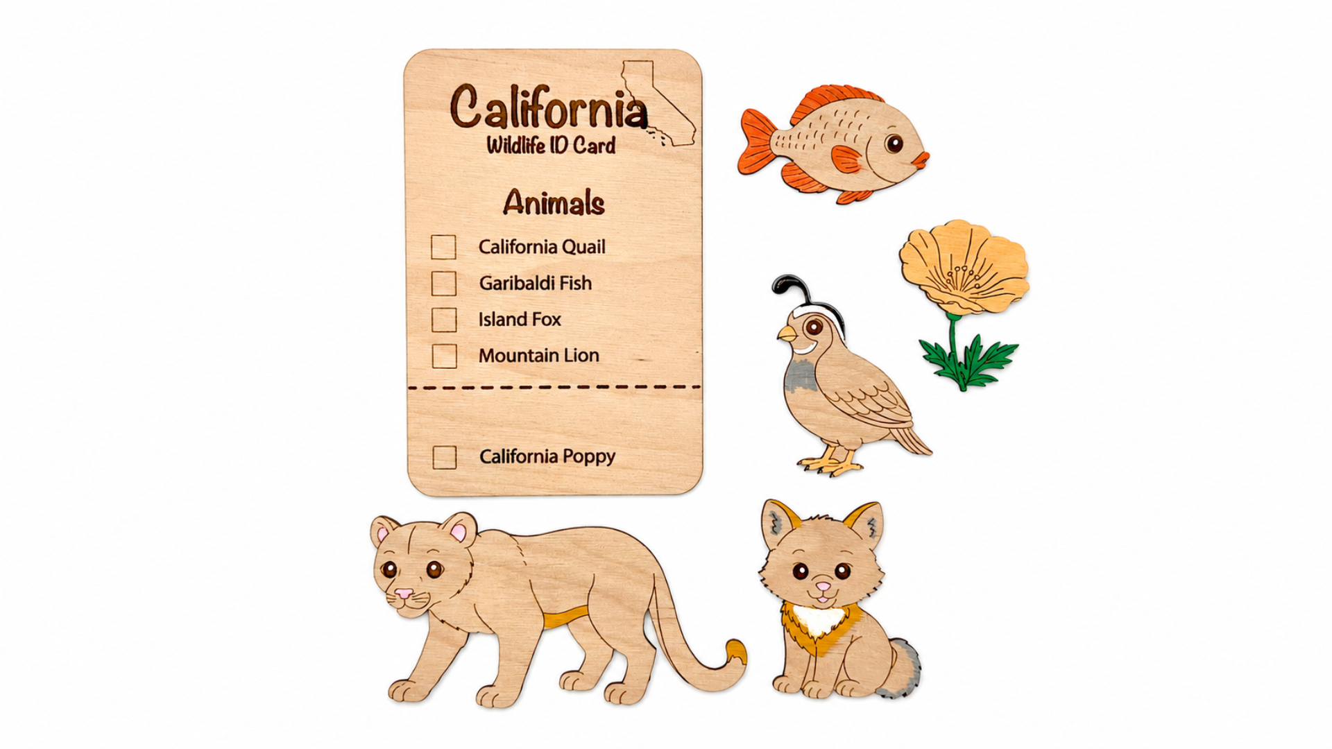DIY California Animal Coloring Kit