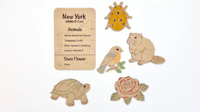 DIY New York Animal Coloring Kit