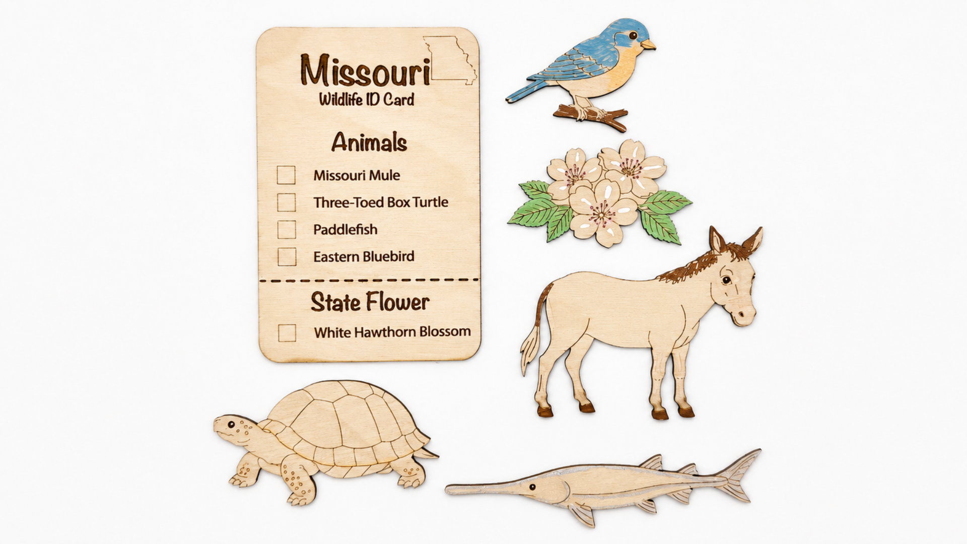 DIY Missouri Animal Coloring Kit