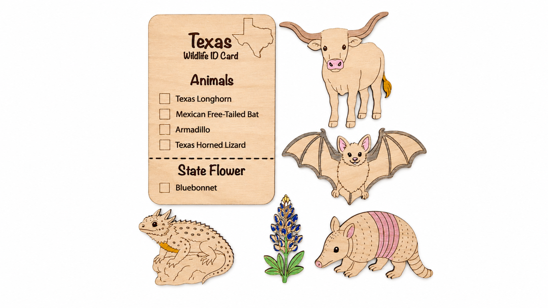 DIY Texas Animal Coloring Kit