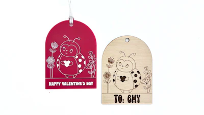 Love Bug Ladybug Gift Tag