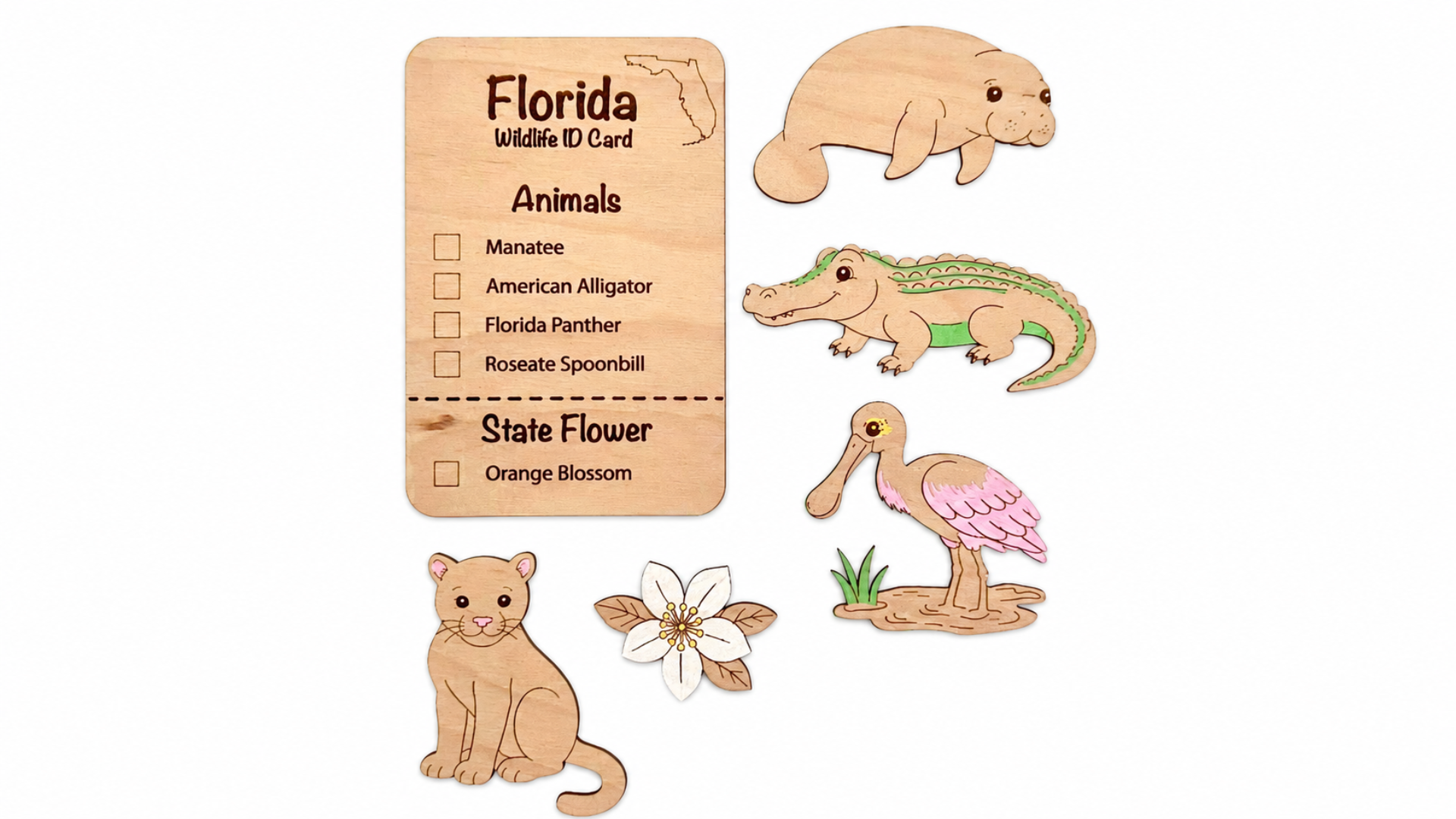 DIY Florida Animal Coloring Kit