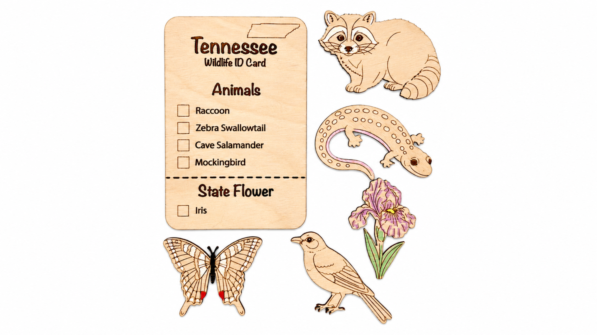 DIY Tennessee Animal Coloring Kit