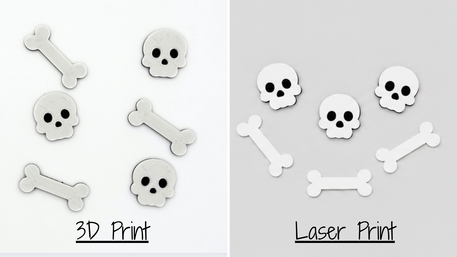 3D Skull and Bone Fillers